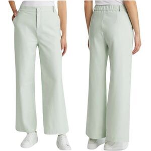 NWTs MaxMara Vasaio Wide Leg Pants in Green Pastel Size Large